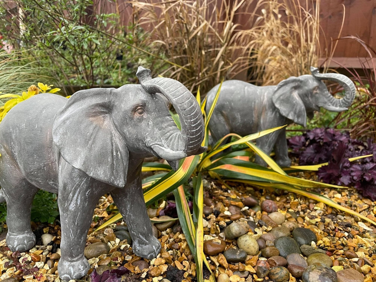 Elegant Elephant - Backyard Bliss