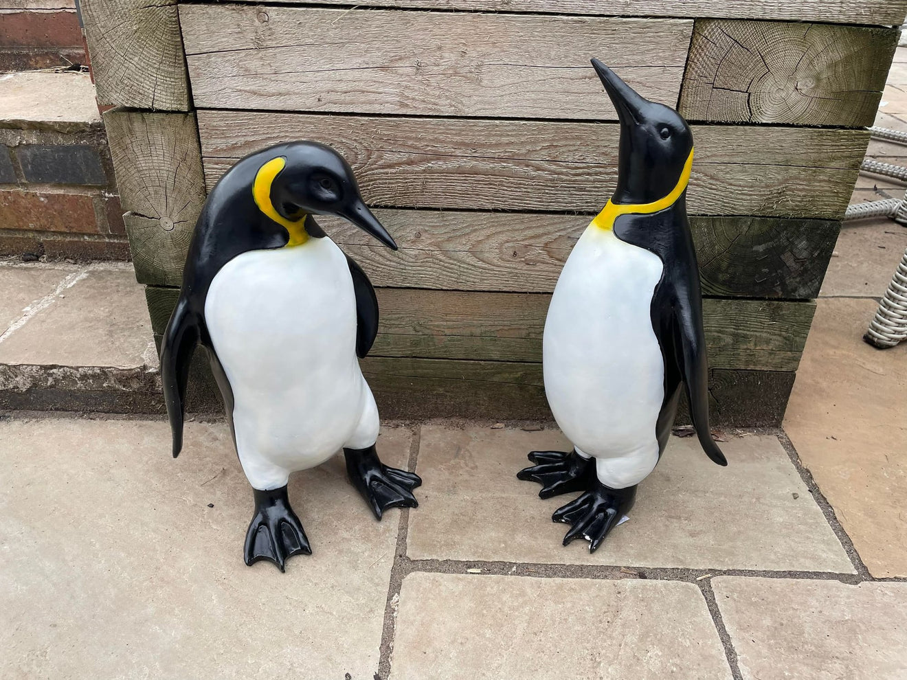 Emperor Penguin's - Backyard Bliss