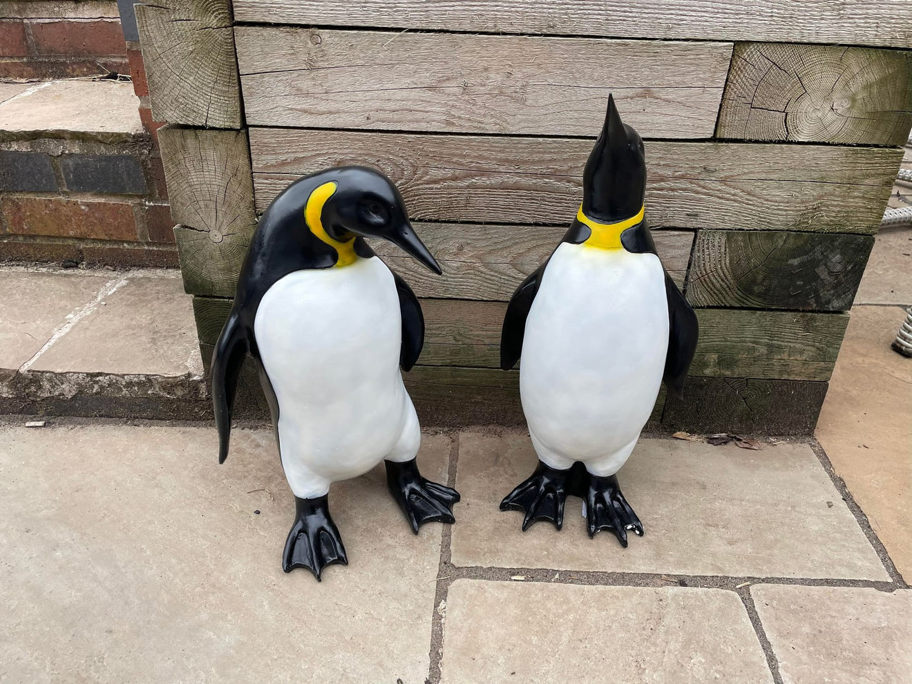 Emperor Penguin's - Backyard Bliss
