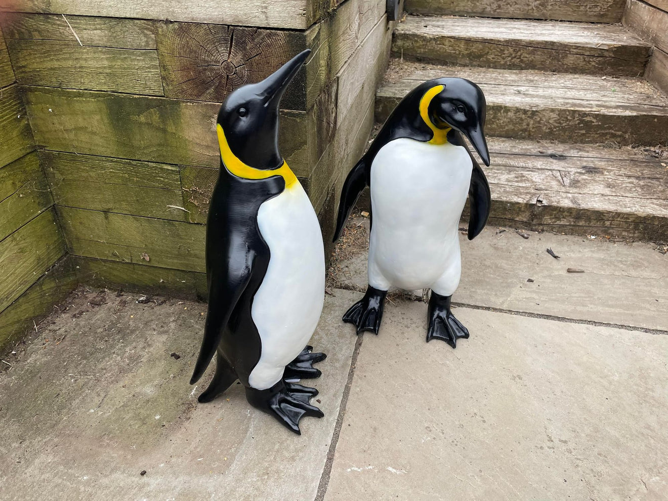 Emperor Penguin's - Backyard Bliss