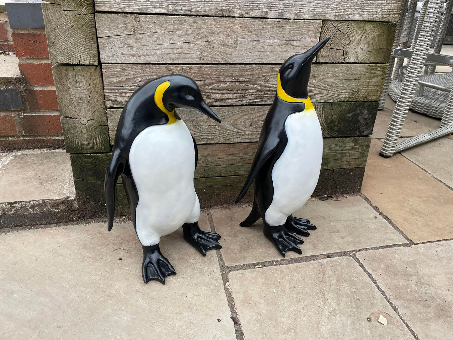 Emperor Penguin's - Backyard Bliss