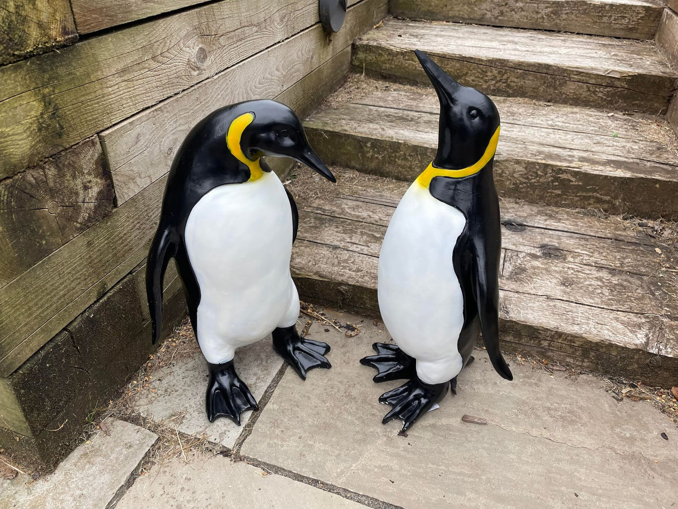 Emperor Penguin's - Backyard Bliss