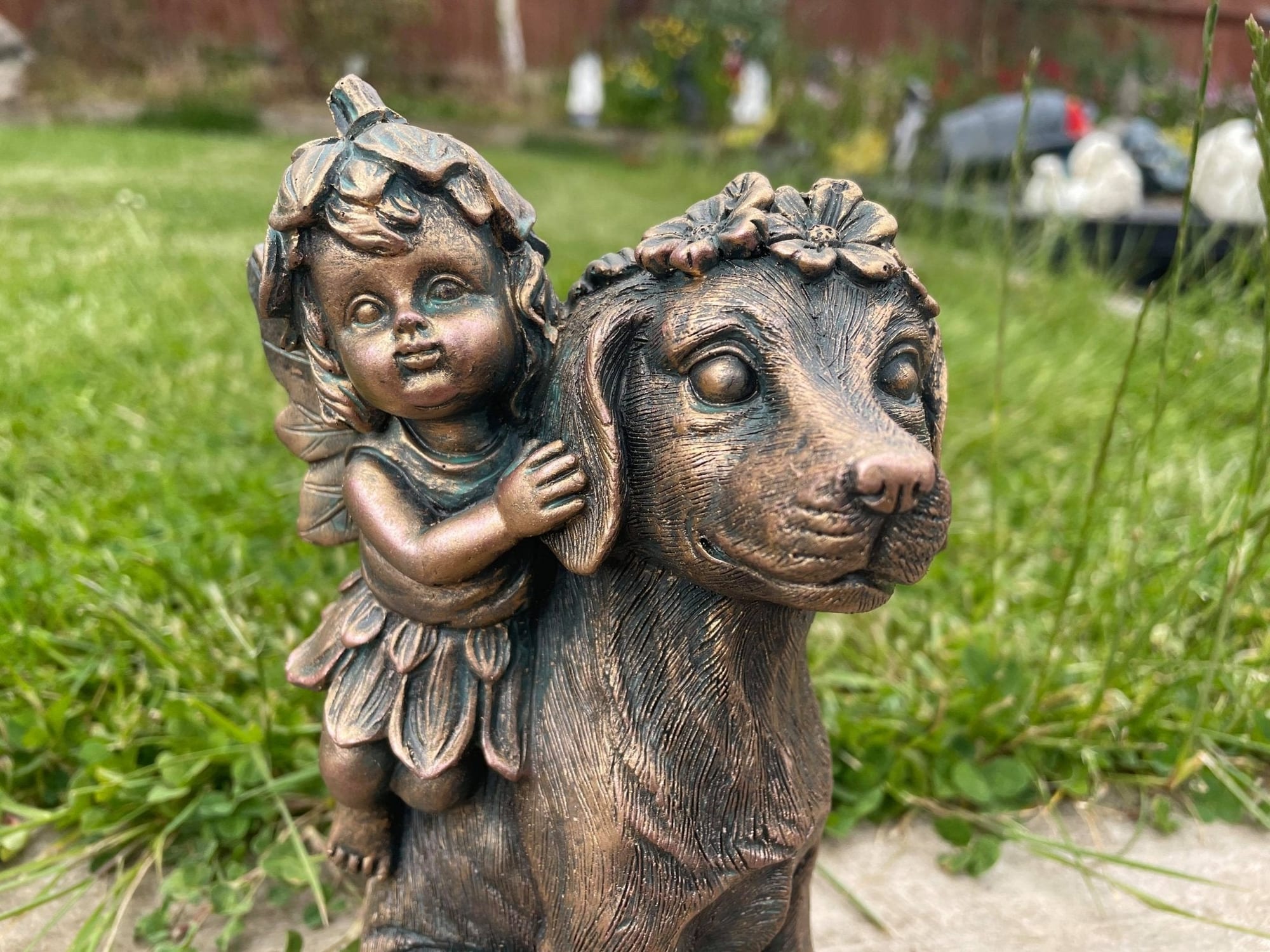 Fairy on Dog - Backyard Bliss