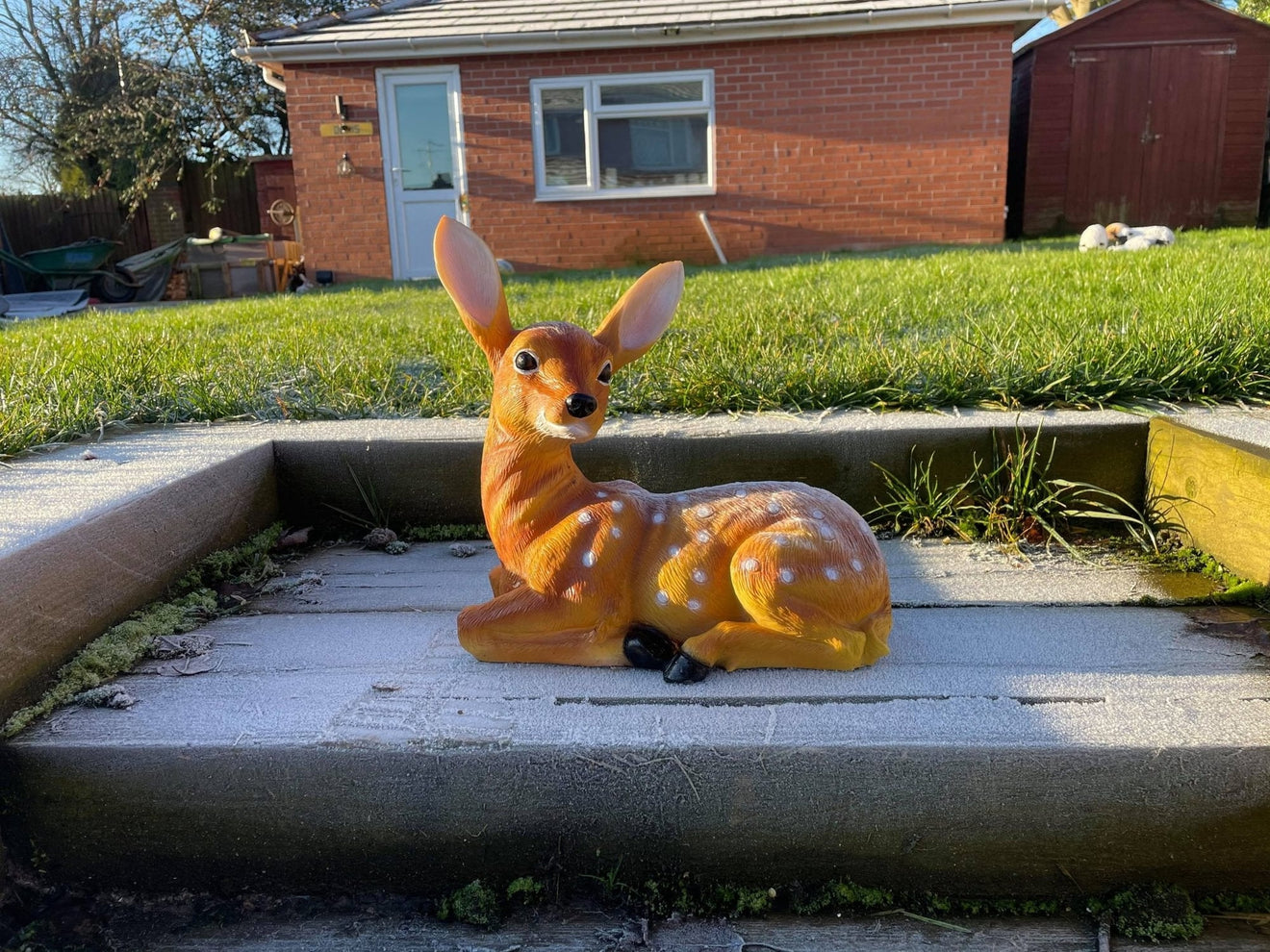 Friendly Fawn - Backyard Bliss