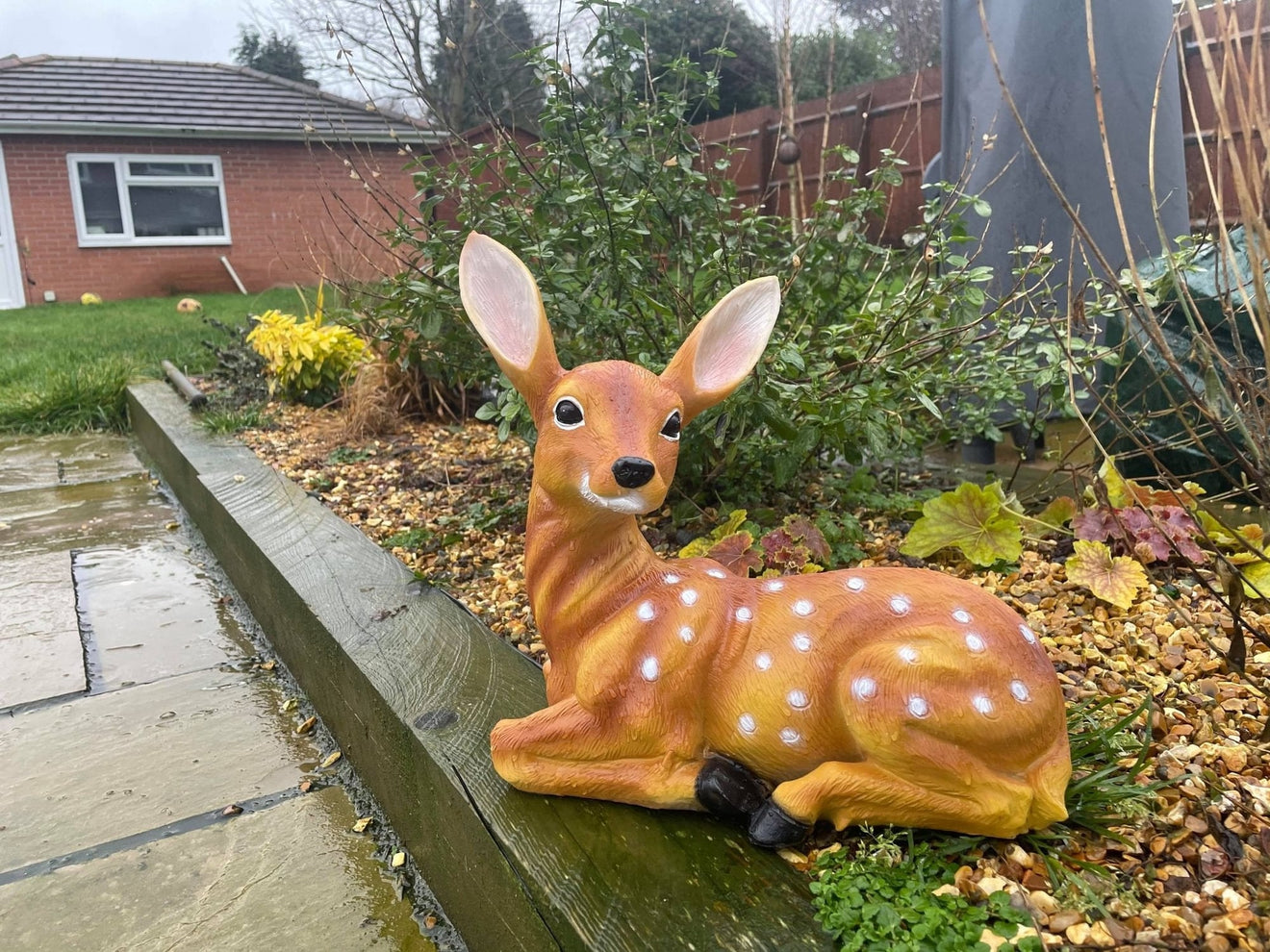 Friendly Fawn - Backyard Bliss