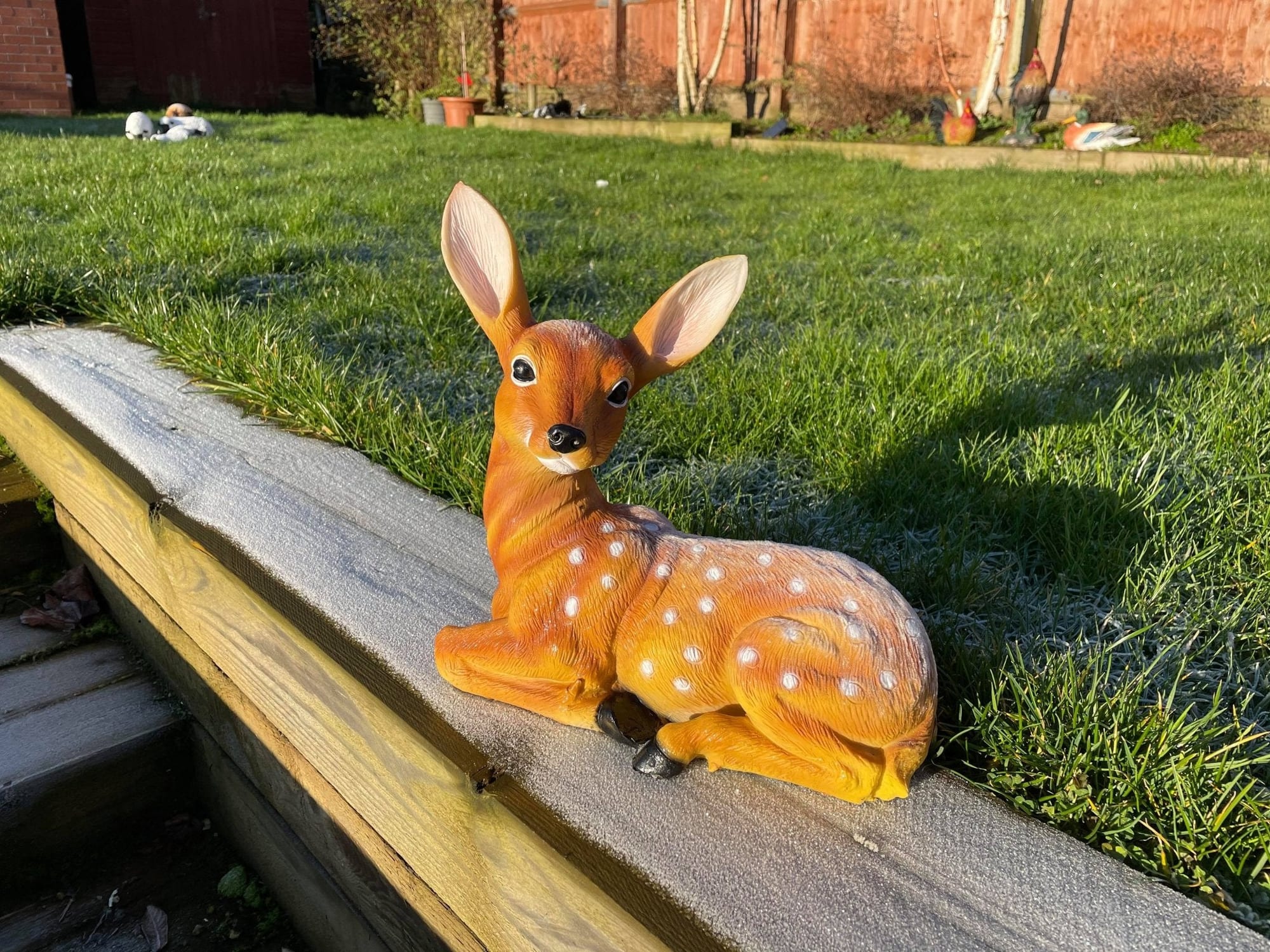 Friendly Fawn - Backyard Bliss