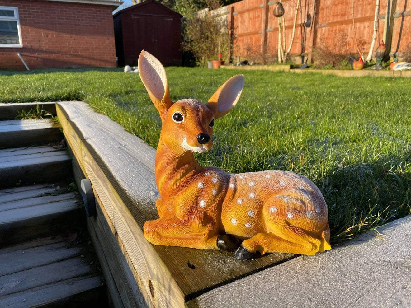 Friendly Fawn - Backyard Bliss