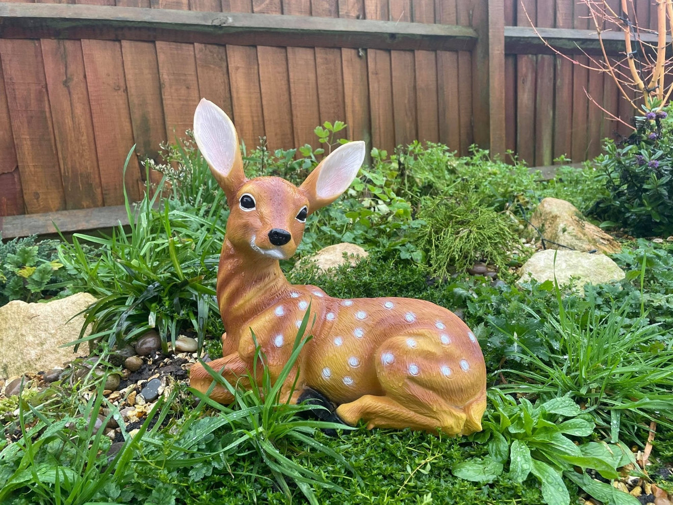 Friendly Fawn - Backyard Bliss