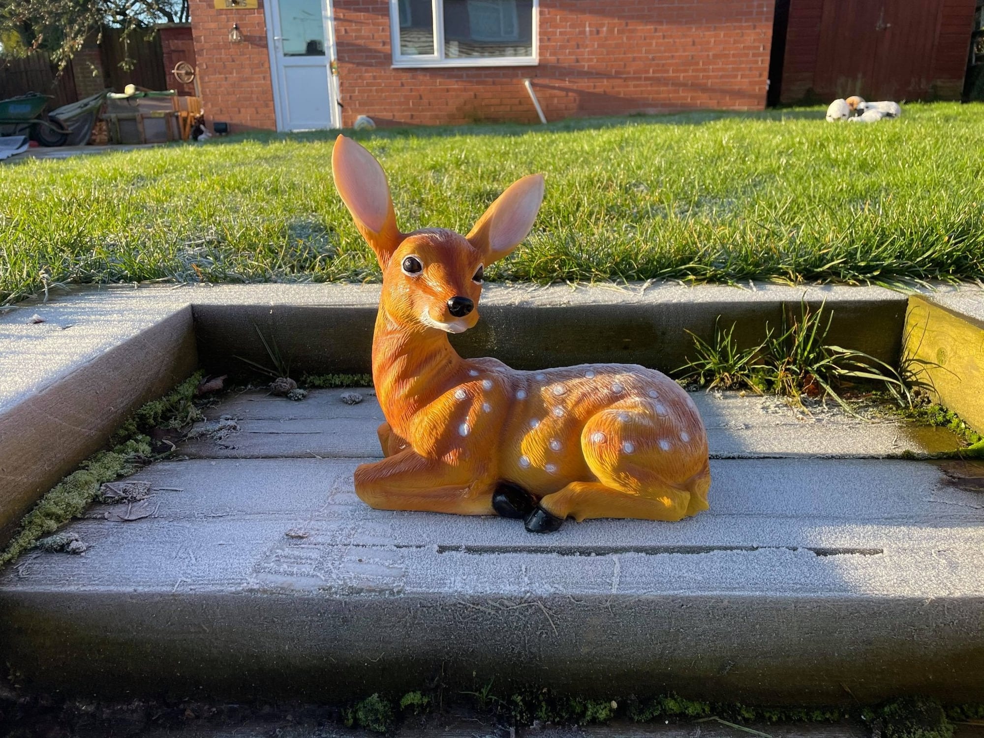 Friendly Fawn - Backyard Bliss