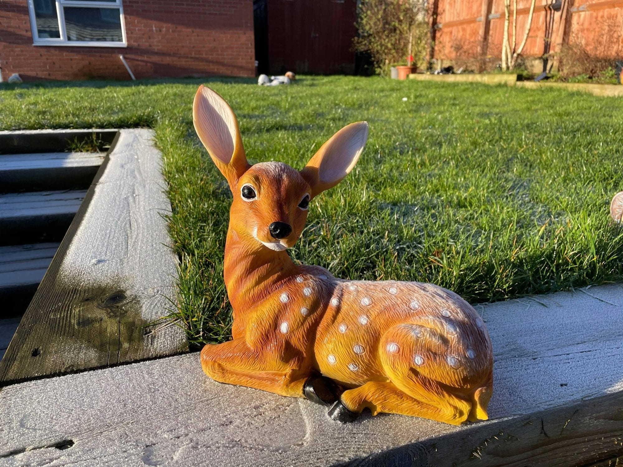 Friendly Fawn - Backyard Bliss