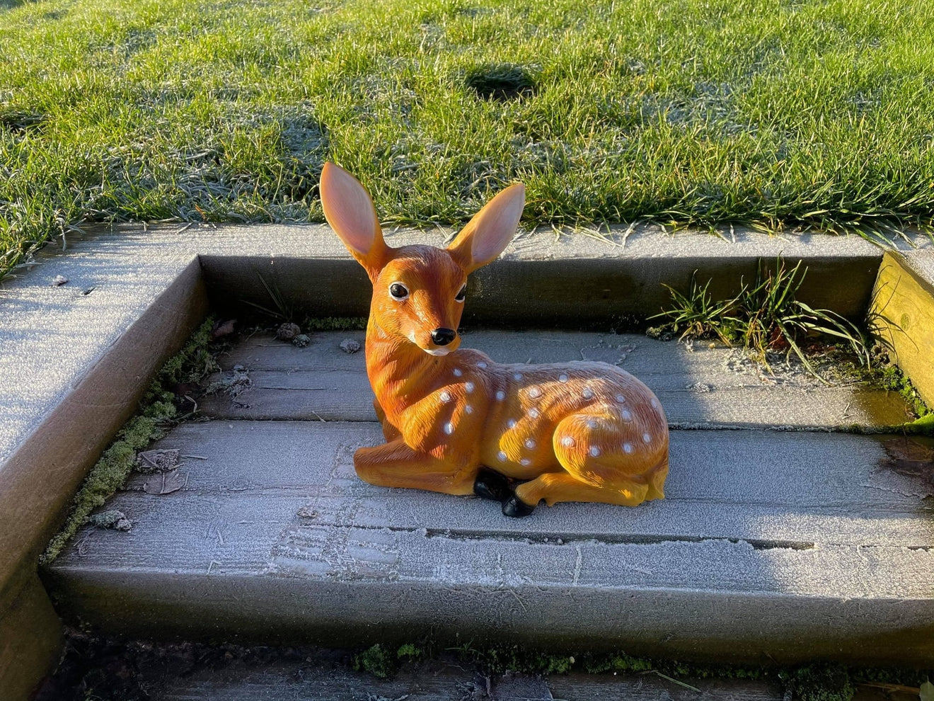 Friendly Fawn - Backyard Bliss