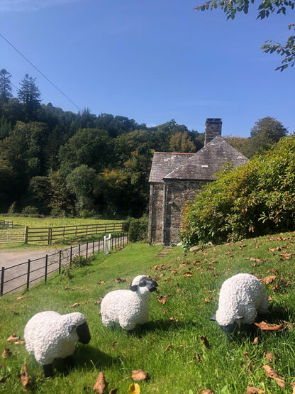 Fuzzy Sheep - Set of 3 - Backyard Bliss