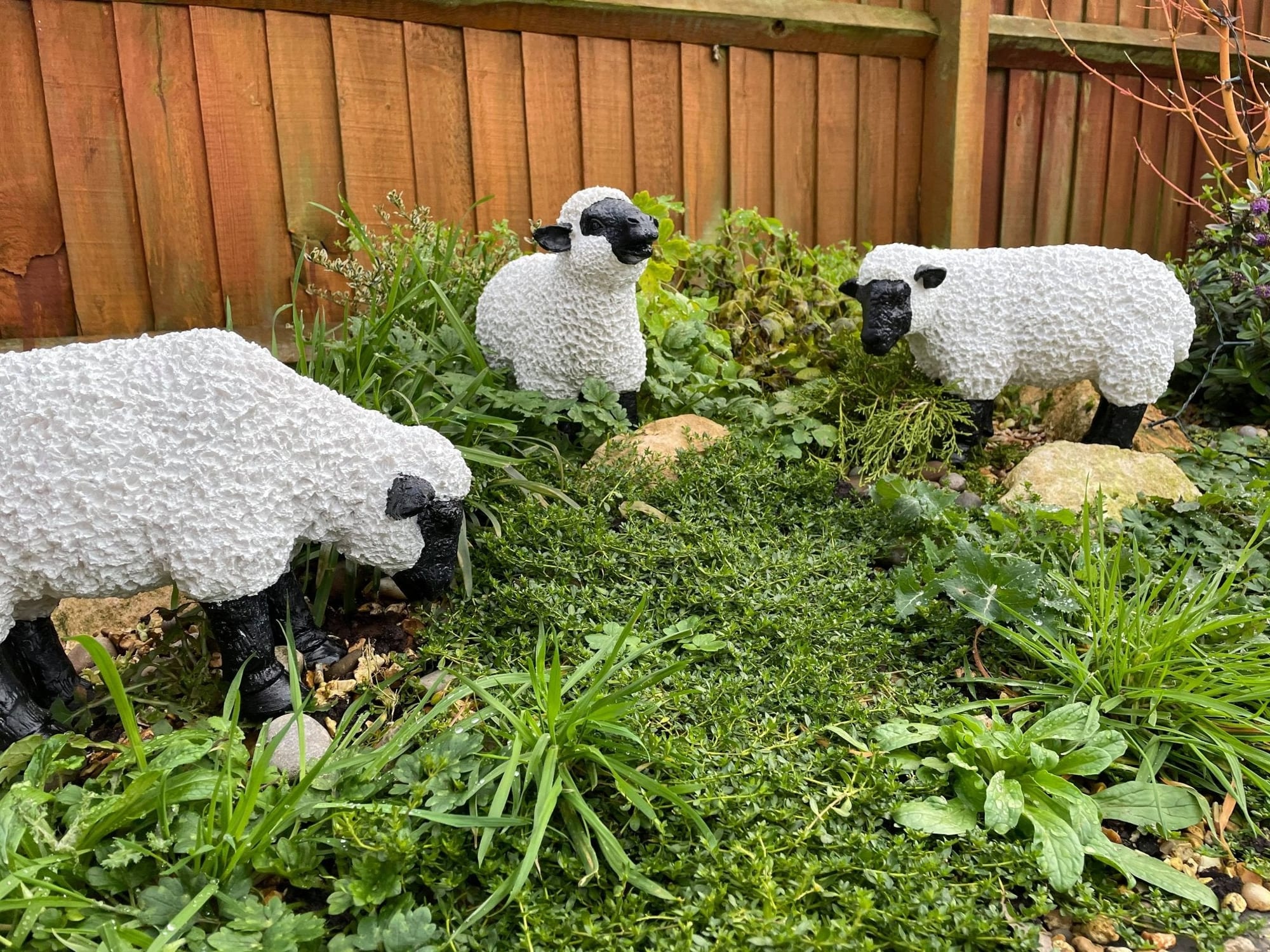 Fuzzy Sheep - Set of 3 - Backyard Bliss