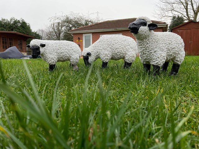 Fuzzy Sheep - Set of 3 - Backyard Bliss
