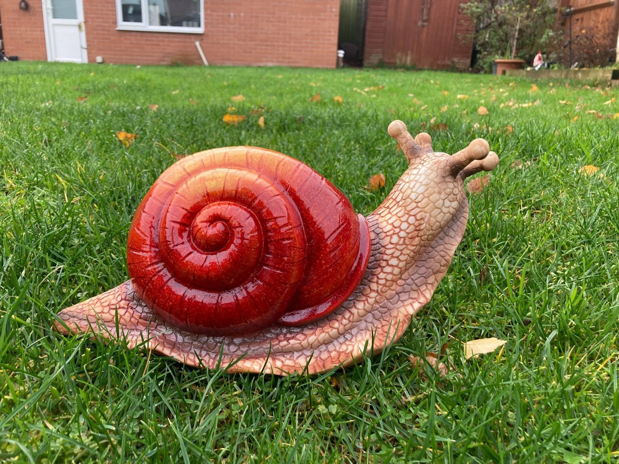 Giant Snail - Backyard Bliss