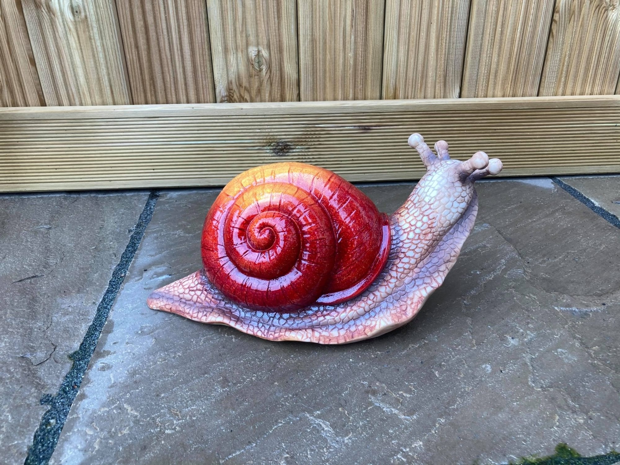 Giant Snail - Backyard Bliss