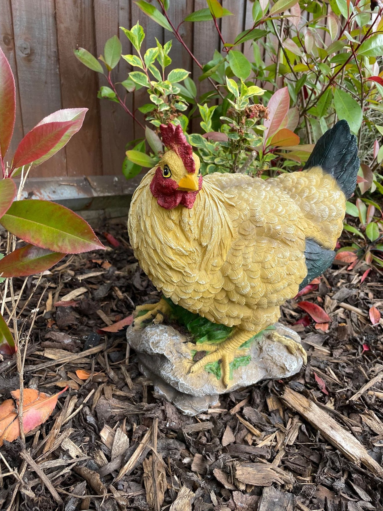 Golden Hen - Backyard Bliss