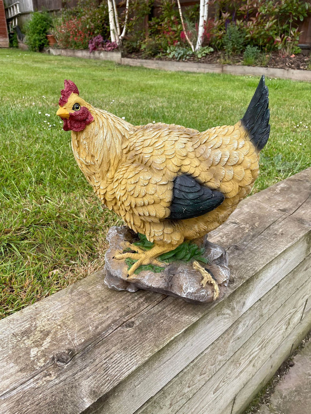 Golden Hen - Backyard Bliss