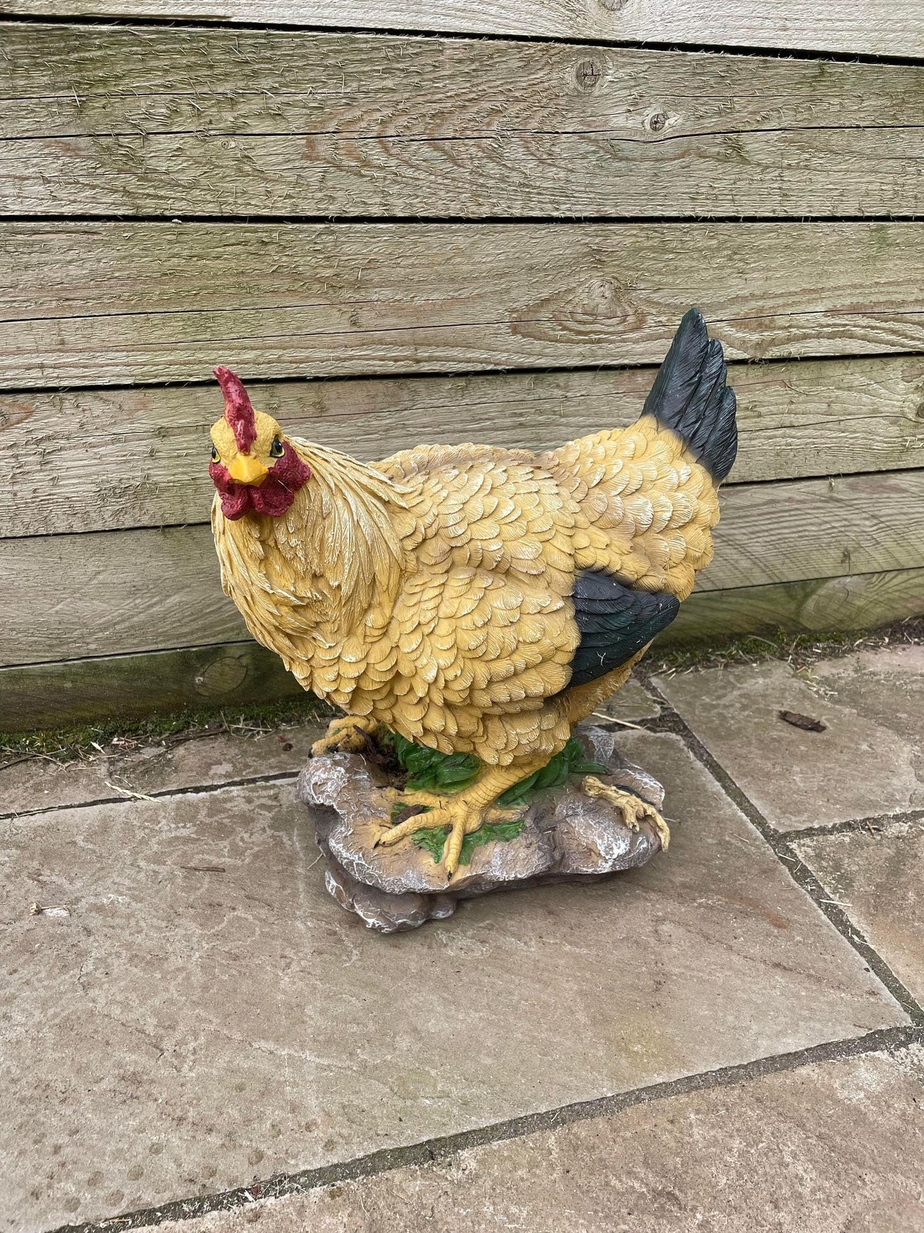 Golden Hen - Backyard Bliss