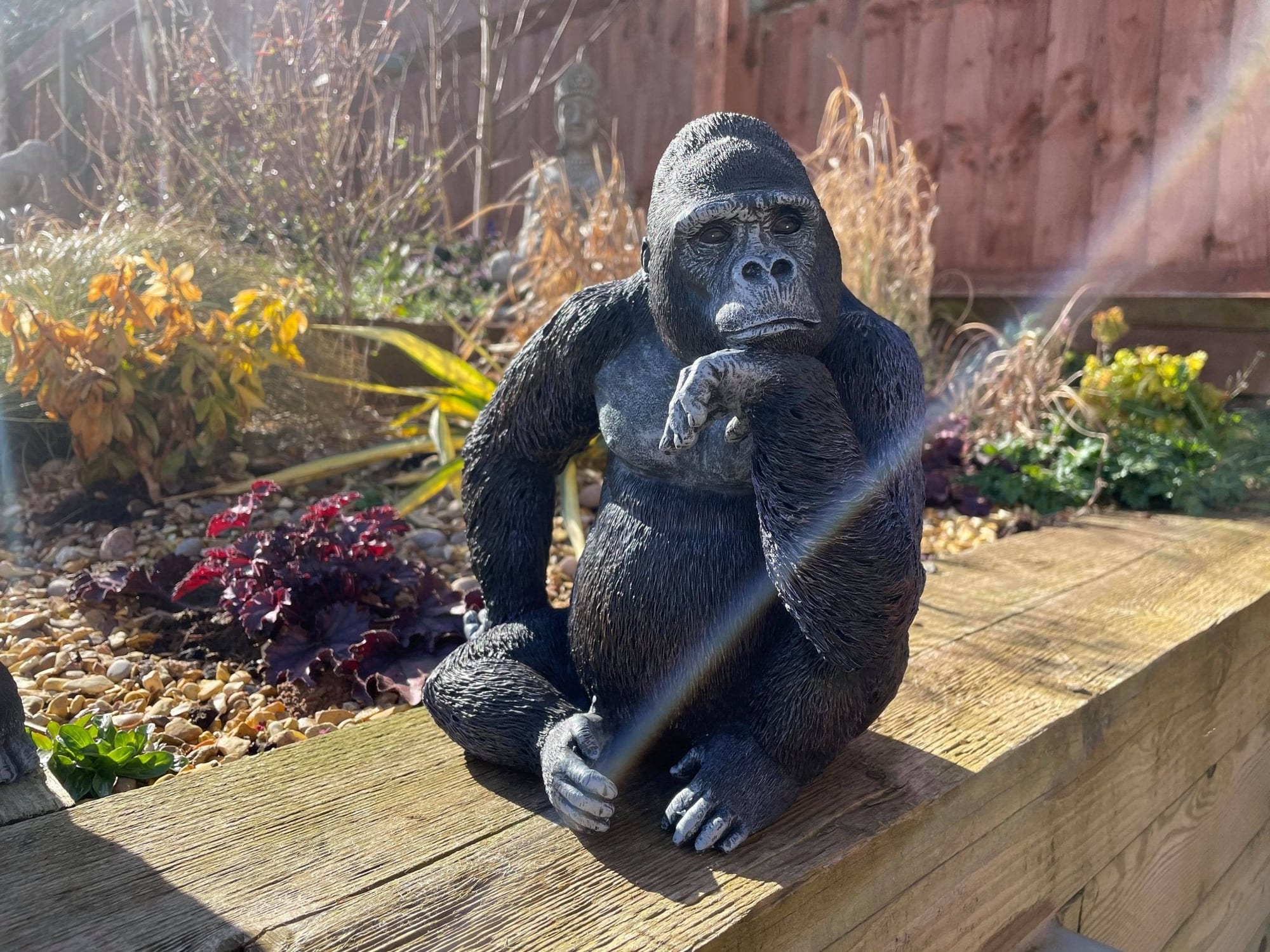 Gorilla & Gorilla w/Cub - Backyard Bliss