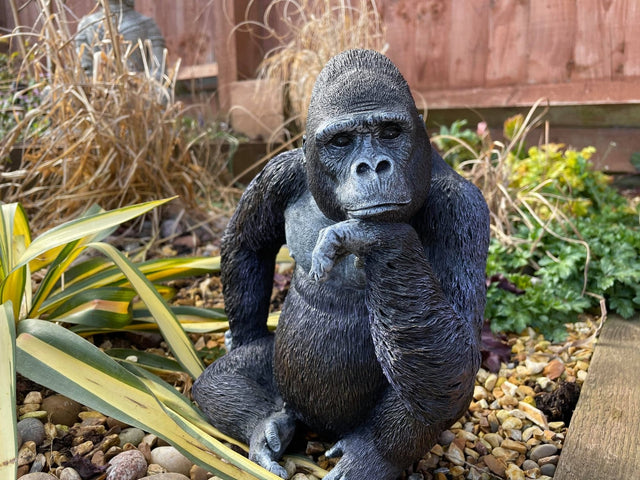 Gorilla & Gorilla w/Cub - Backyard Bliss
