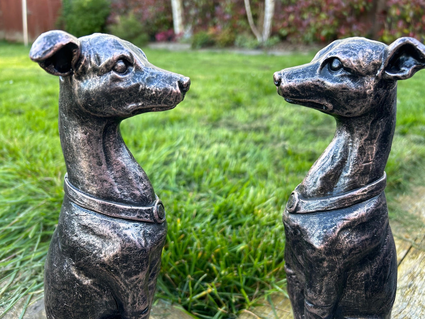 Gracious Greyhound Set - Backyard Bliss