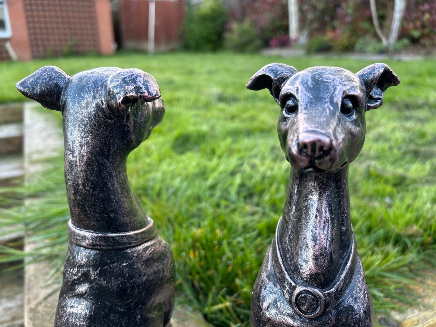 Gracious Greyhound Set - Backyard Bliss