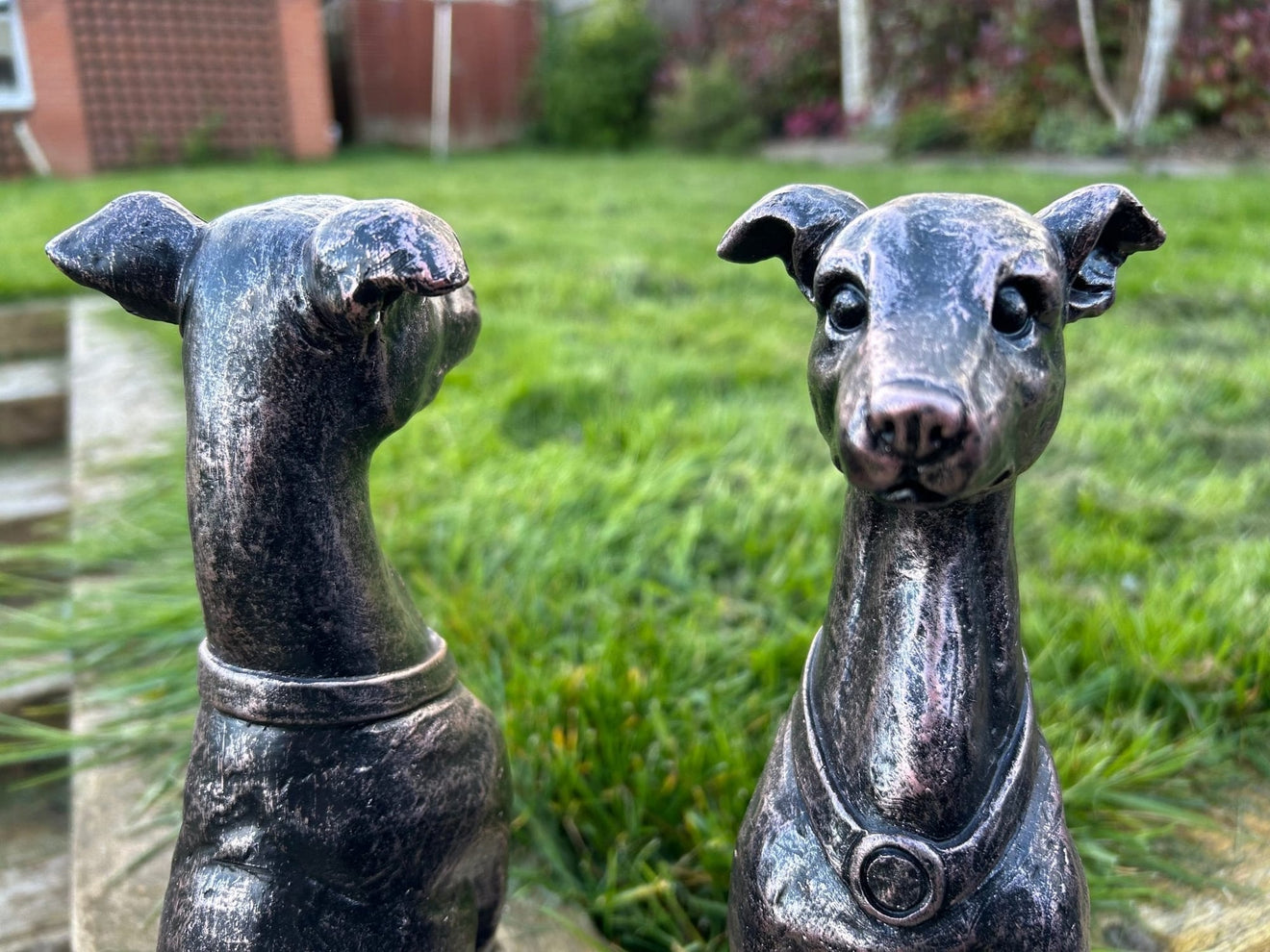 Gracious Greyhound Set - Backyard Bliss