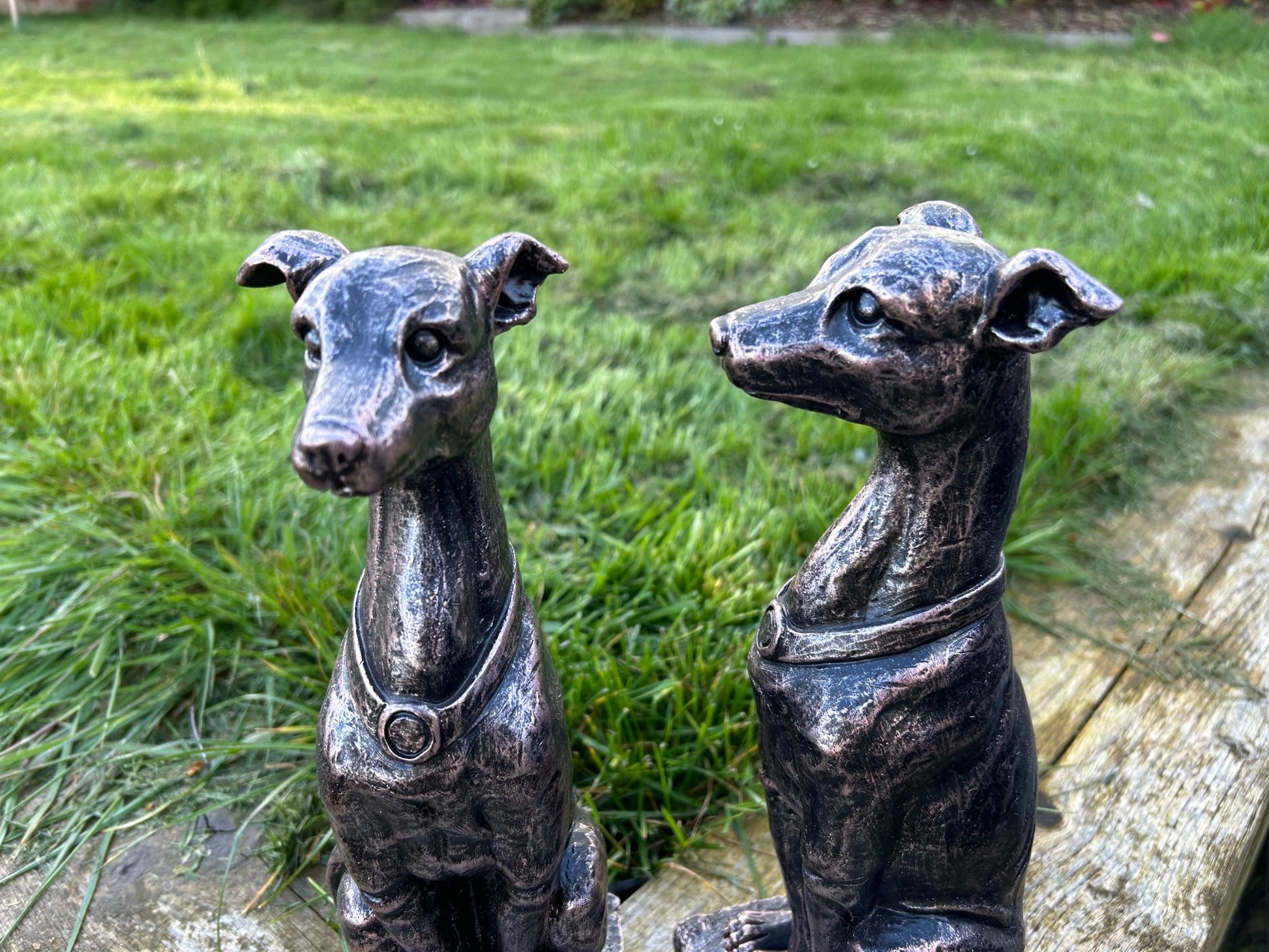 Gracious Greyhound Set - Backyard Bliss