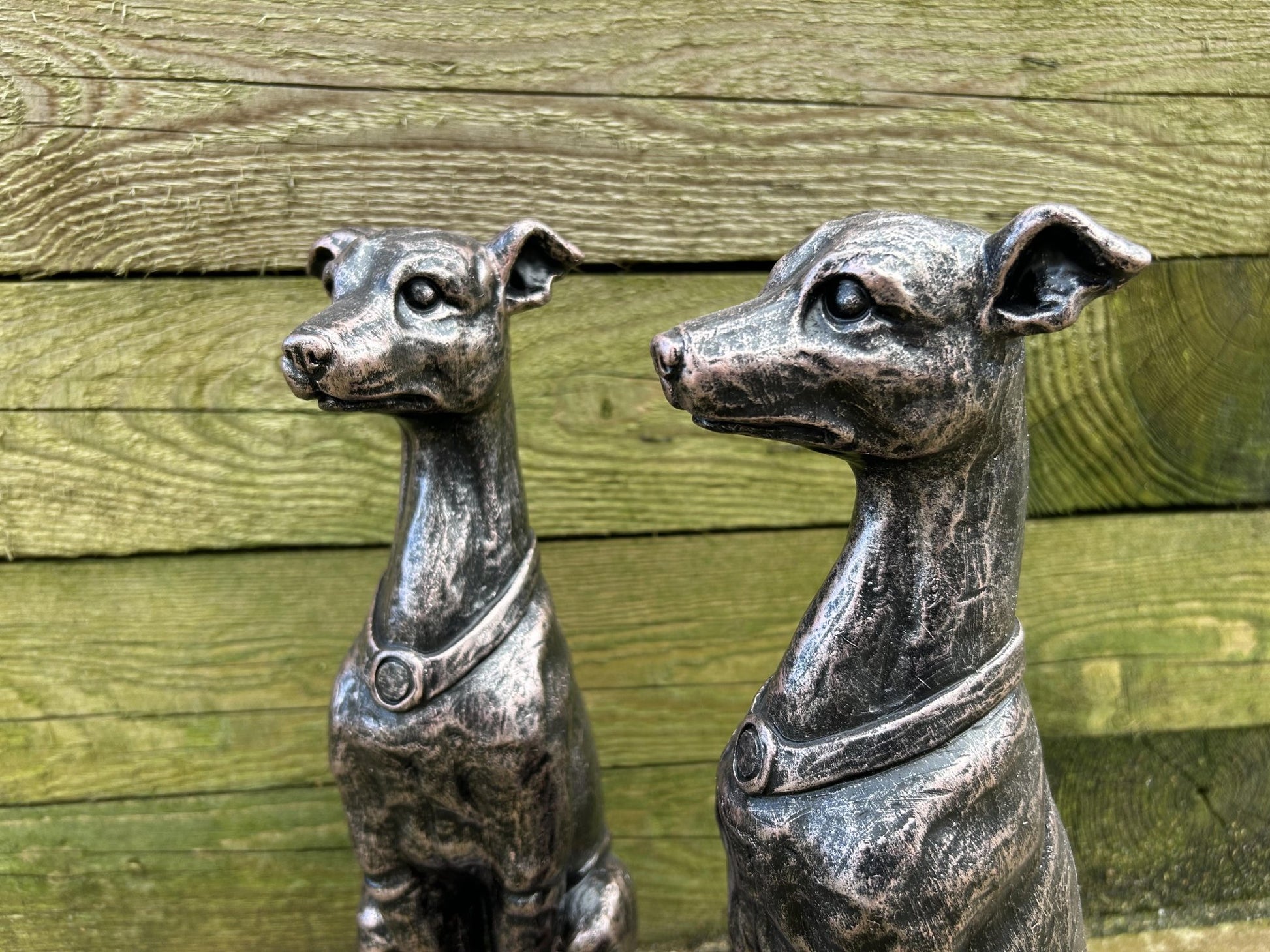 Gracious Greyhound Set - Backyard Bliss