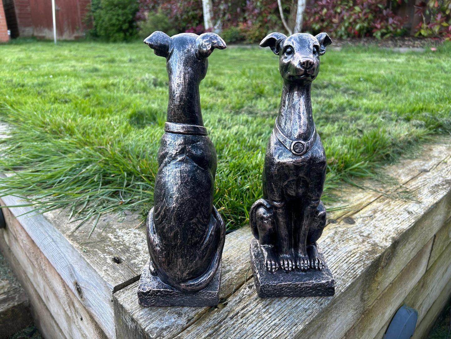 Gracious Greyhound Set - Backyard Bliss