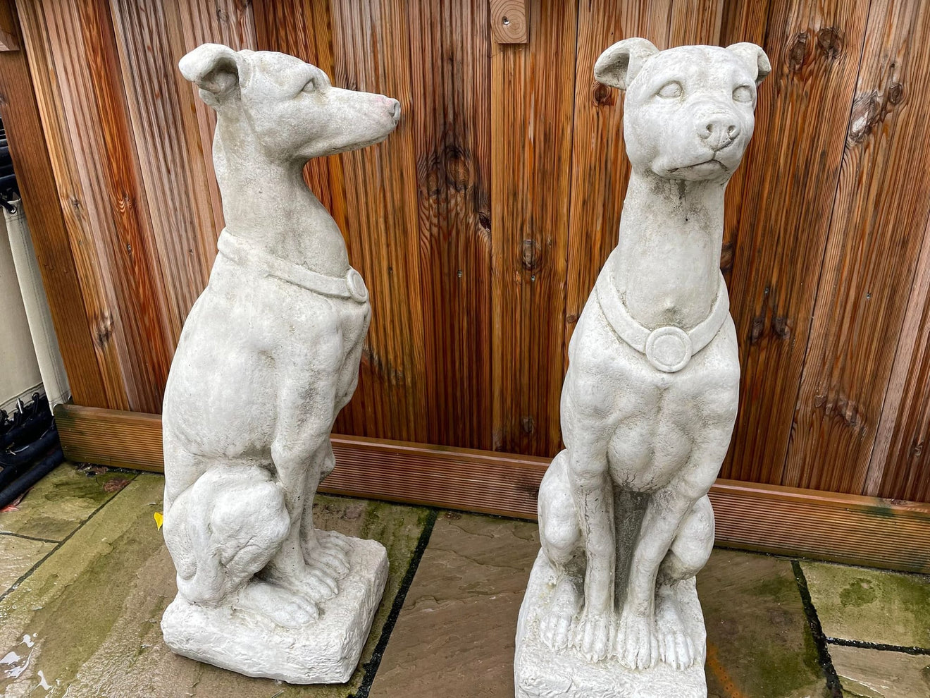 Greyhound Statue Set - Backyard Bliss