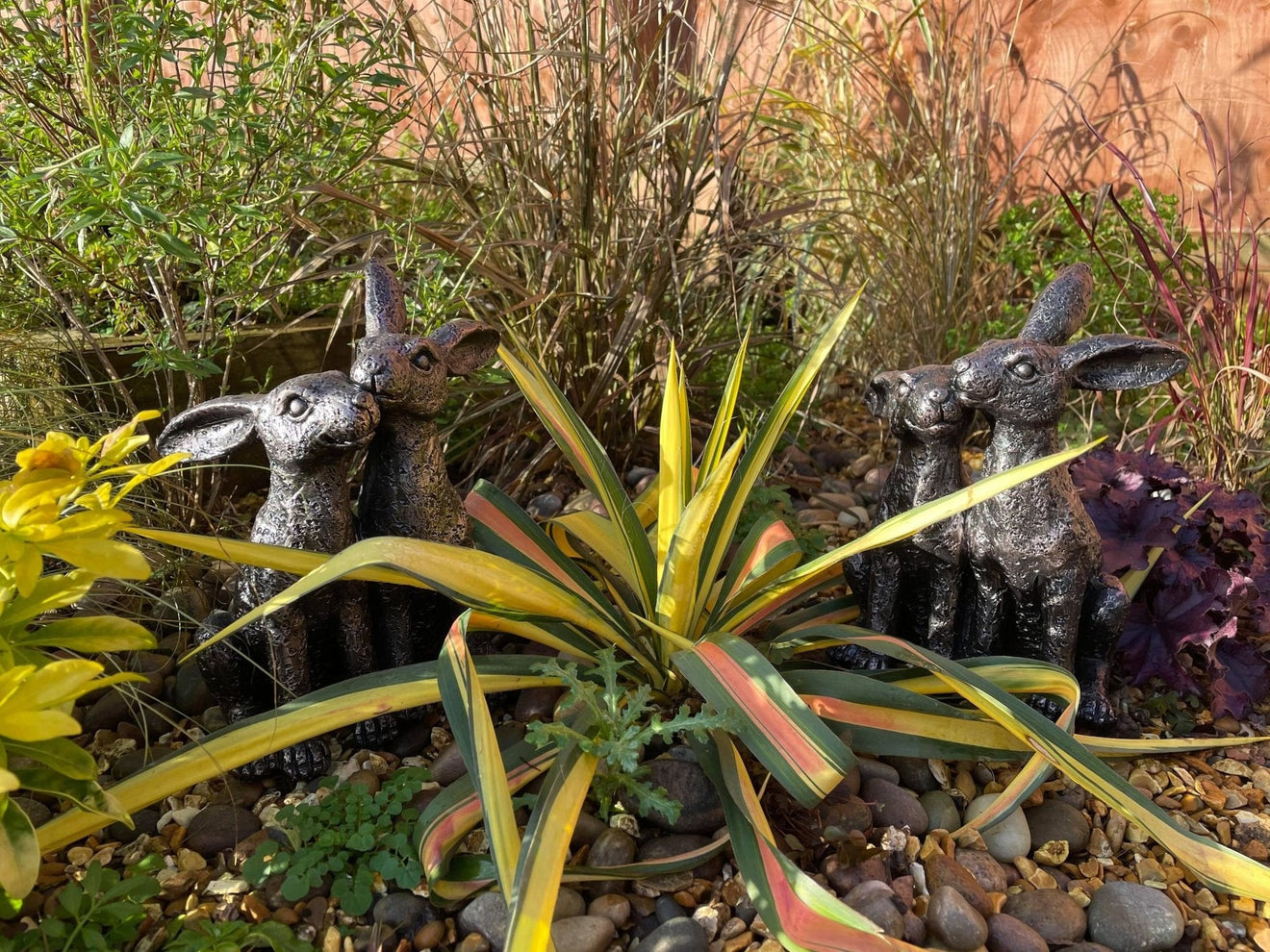 Happy Hares - Backyard Bliss