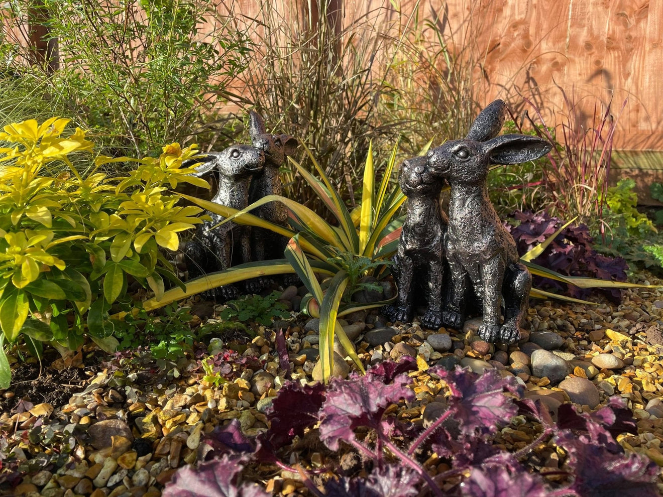 Happy Hares - Backyard Bliss