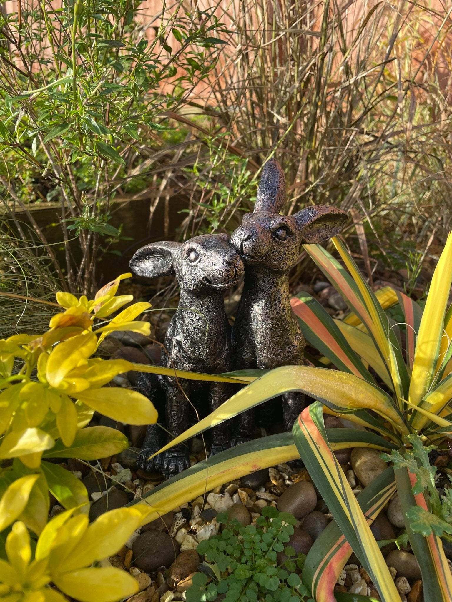 Happy Hares - Backyard Bliss