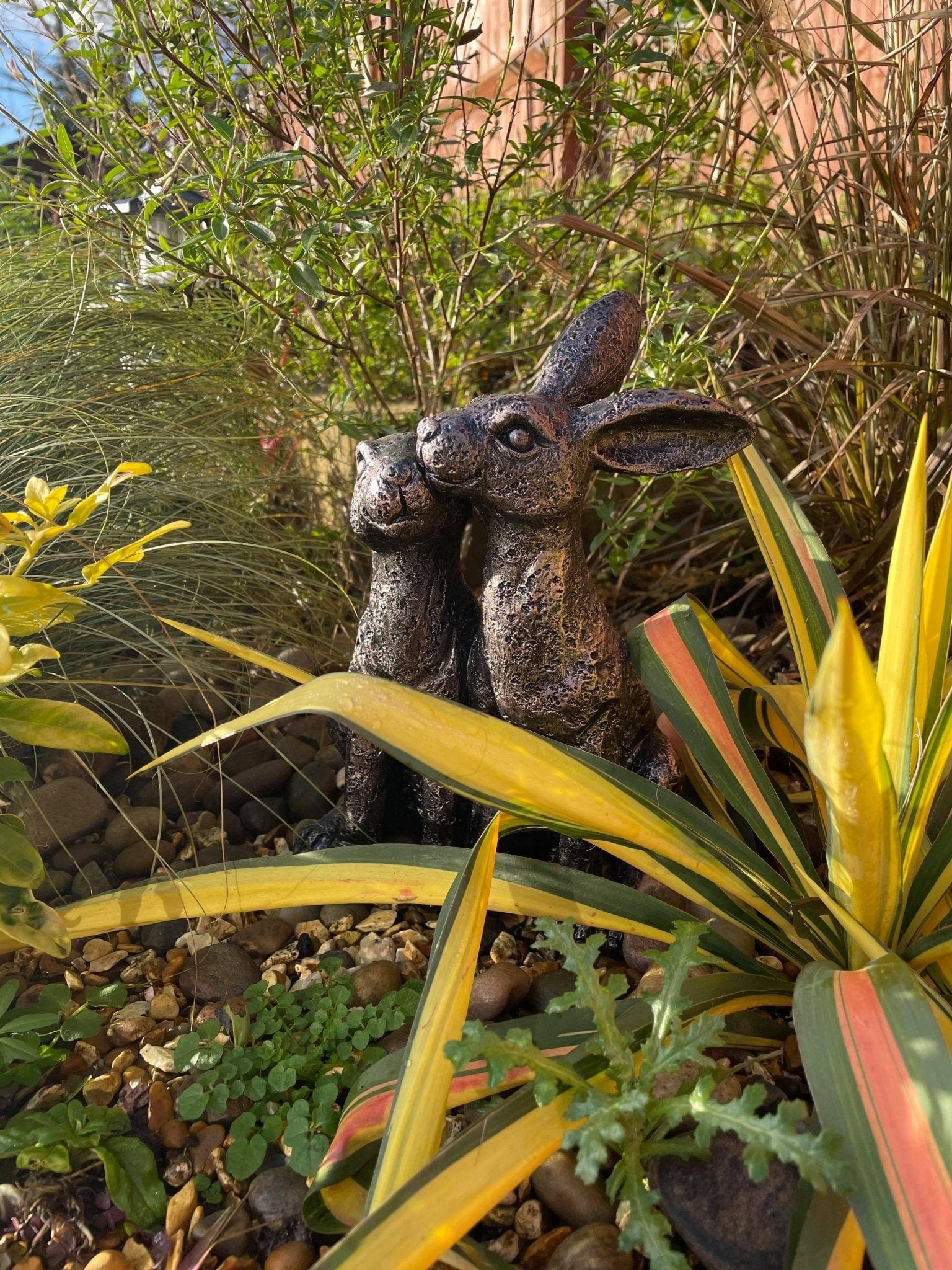 Happy Hares - Backyard Bliss