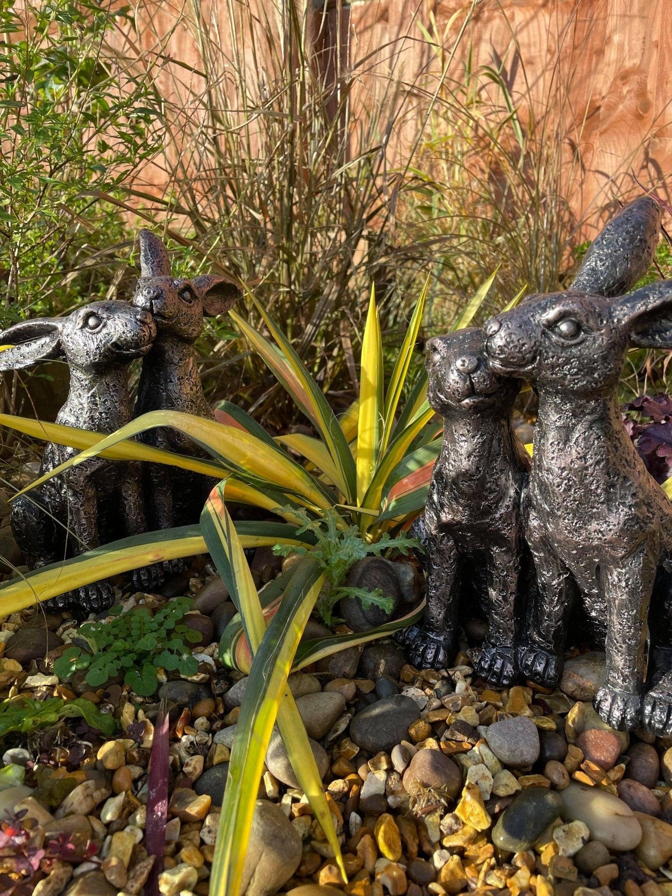 Happy Hares - Backyard Bliss