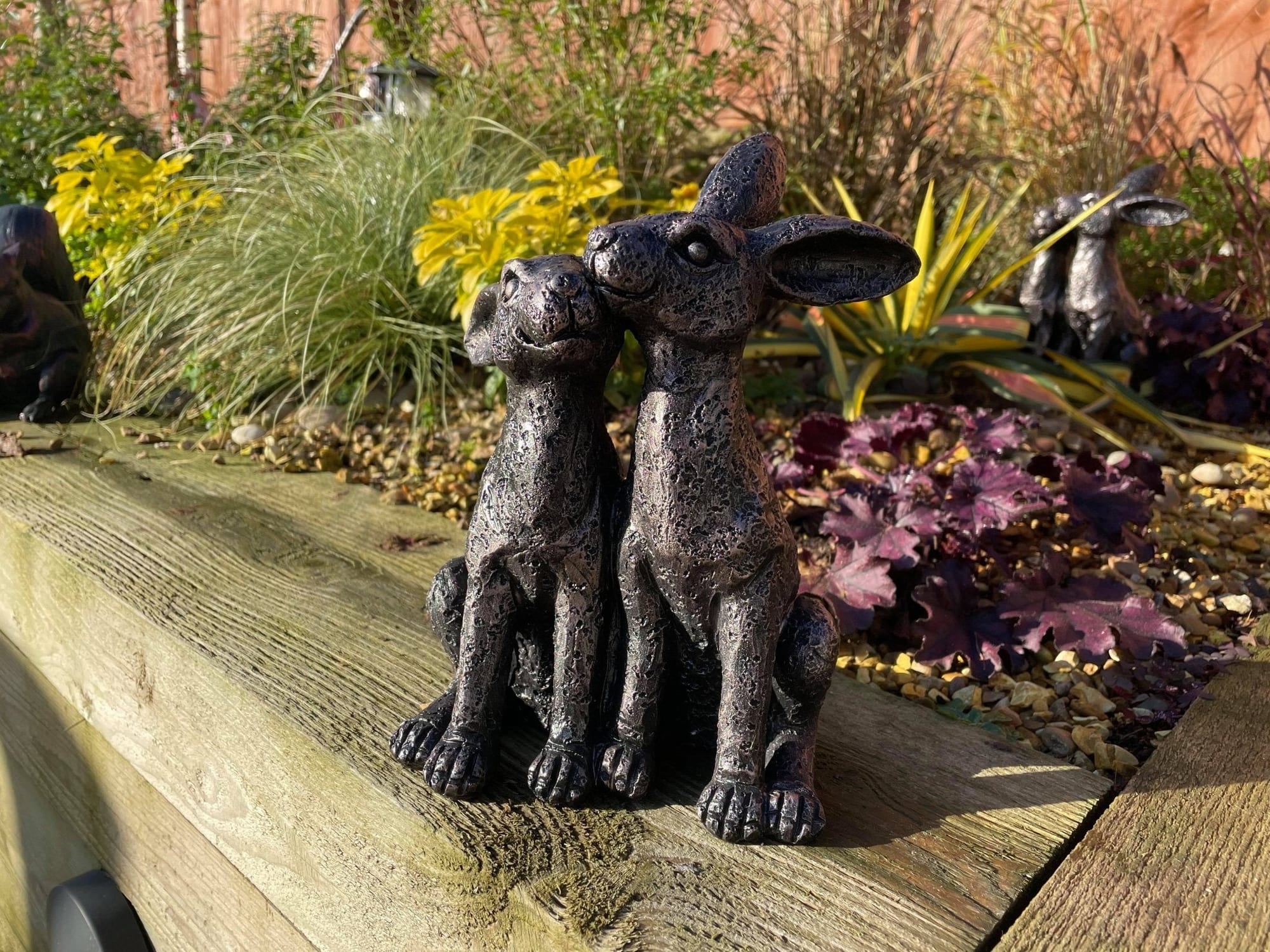 Happy Hares - Backyard Bliss