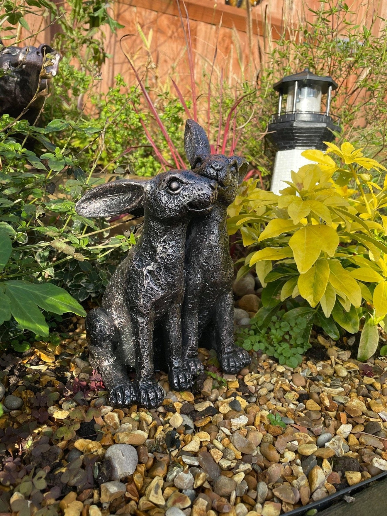 Happy Hares - Backyard Bliss