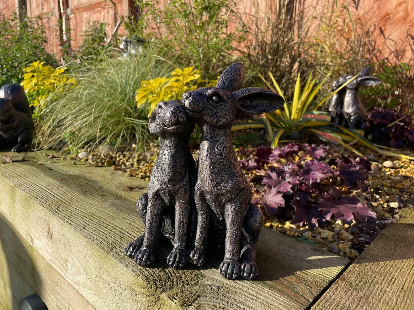 Happy Hares - Backyard Bliss