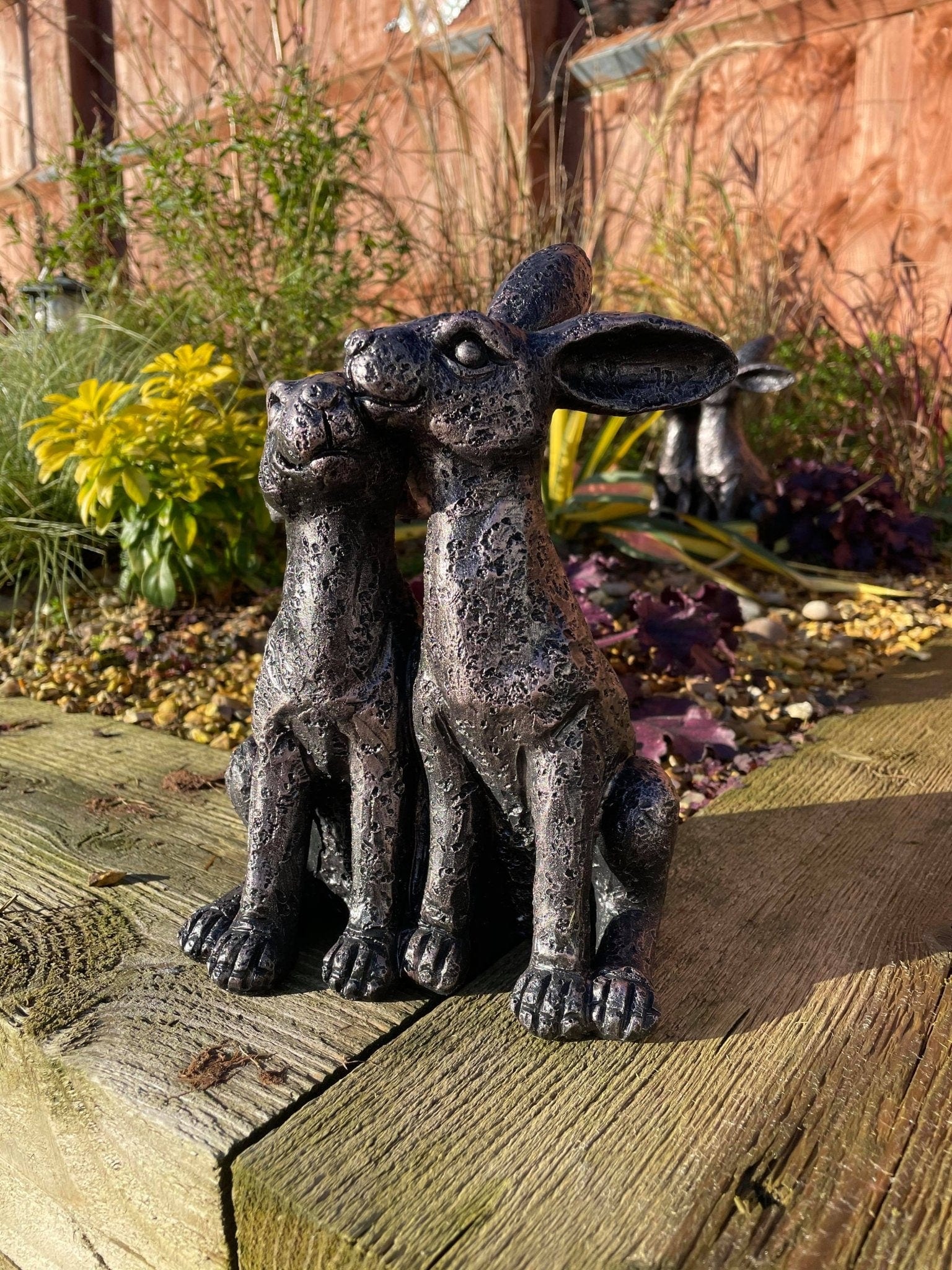 Happy Hares - Backyard Bliss