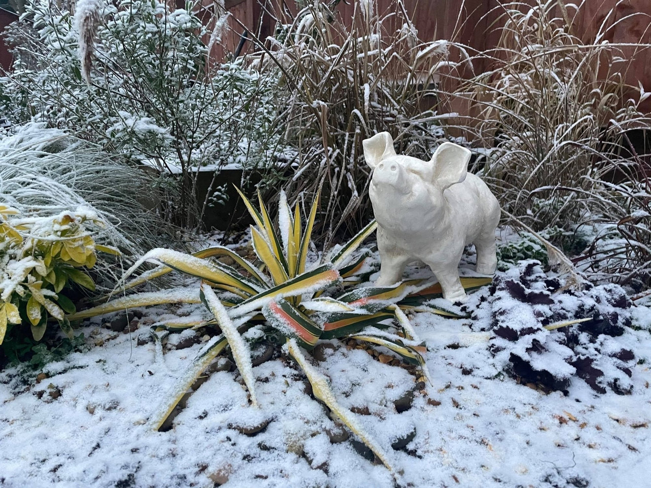 Happy Pig - White - Backyard Bliss