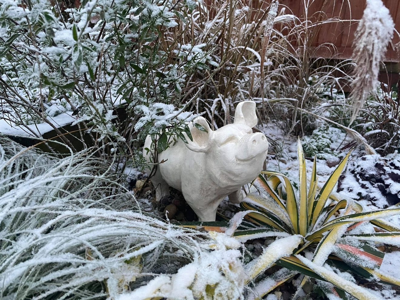 Happy Pig - White - Backyard Bliss