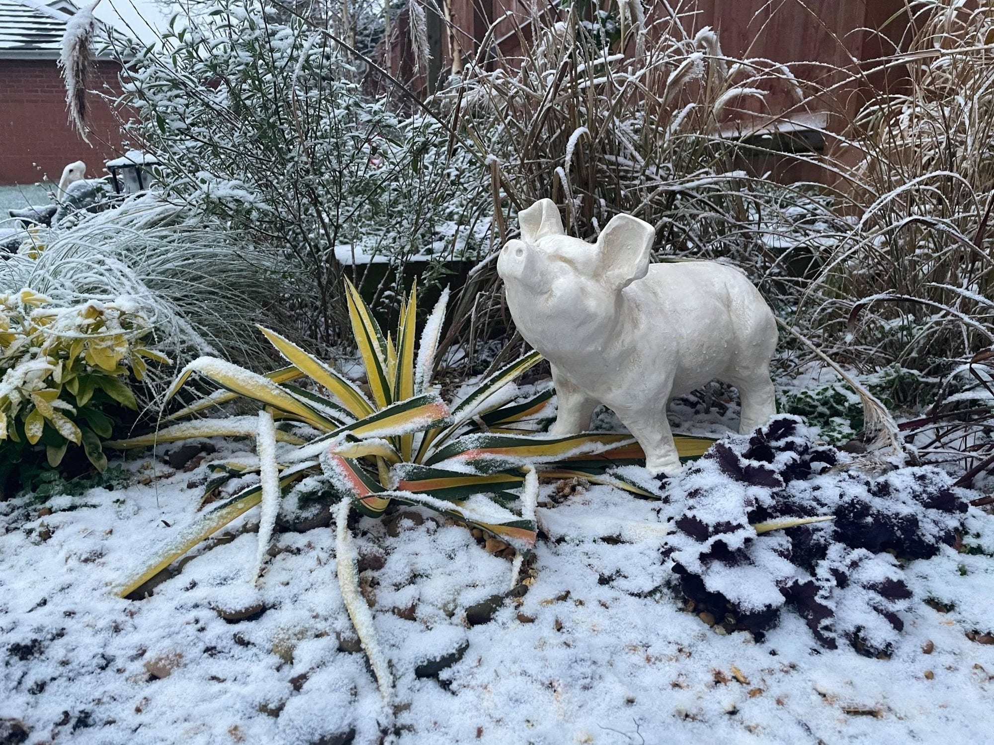 Happy Pig - White - Backyard Bliss
