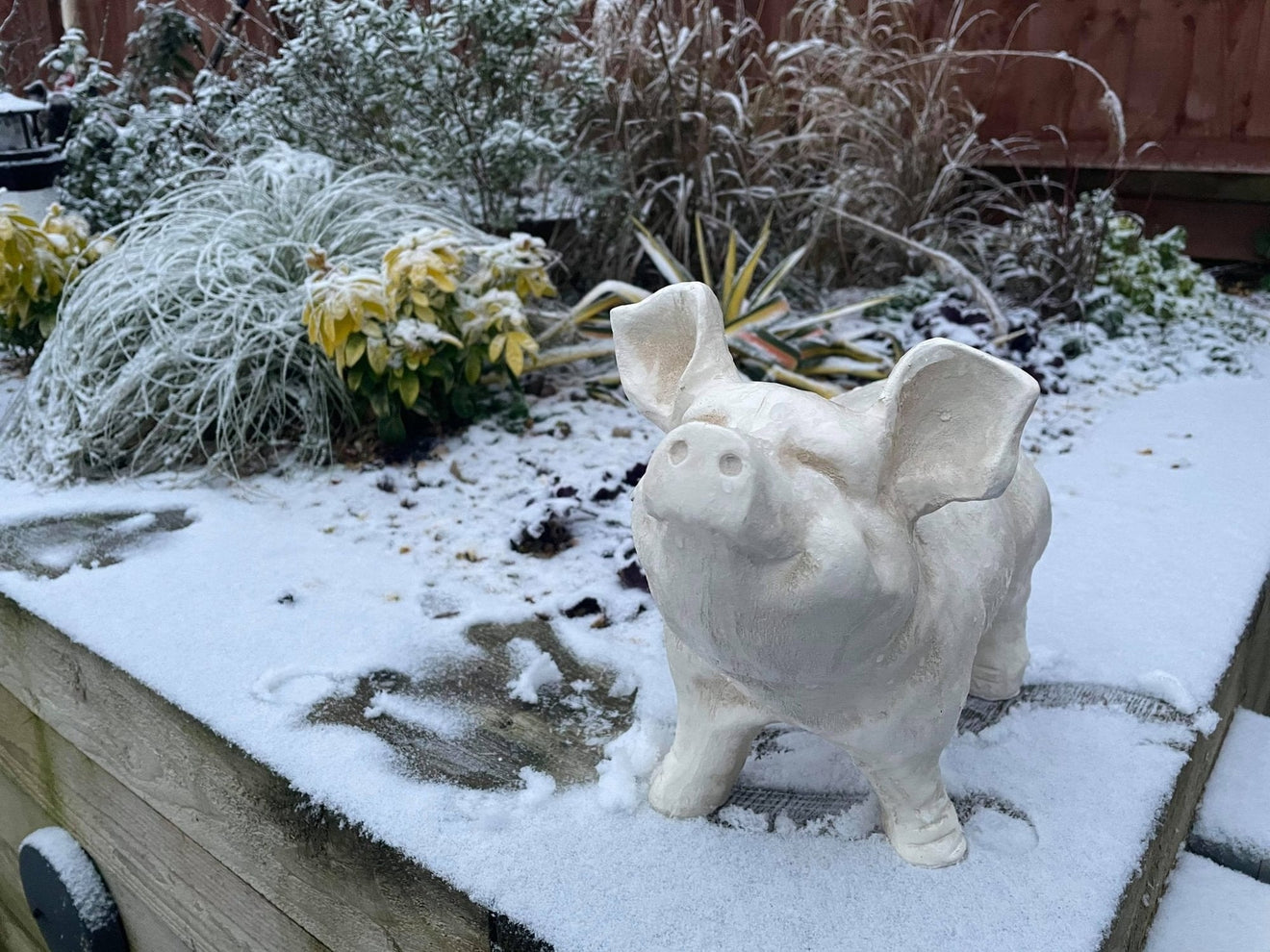 Happy Pig - White - Backyard Bliss