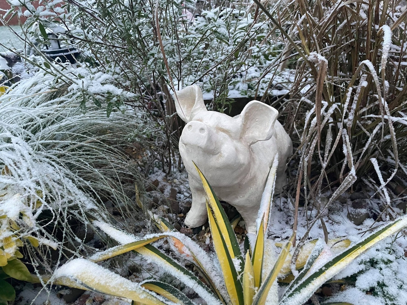 Happy Pig - White - Backyard Bliss