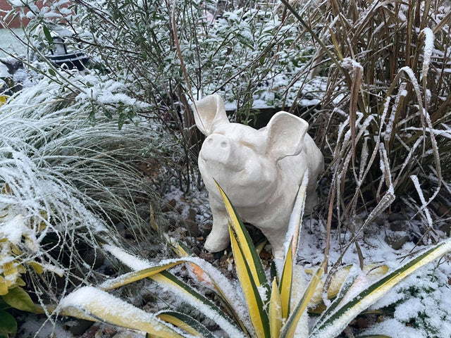 Happy Pig - White - Backyard Bliss