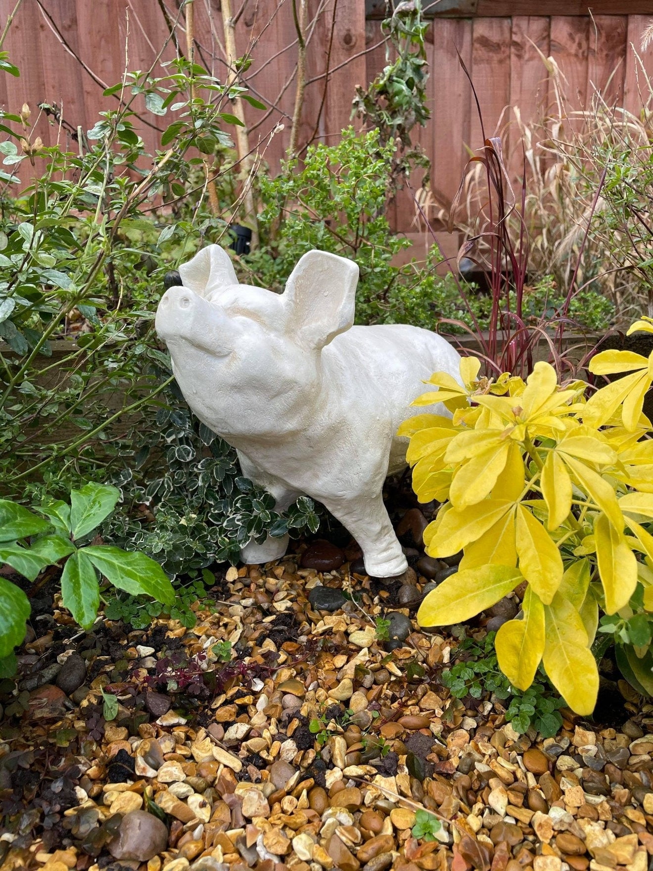 Happy Pig - White - Backyard Bliss