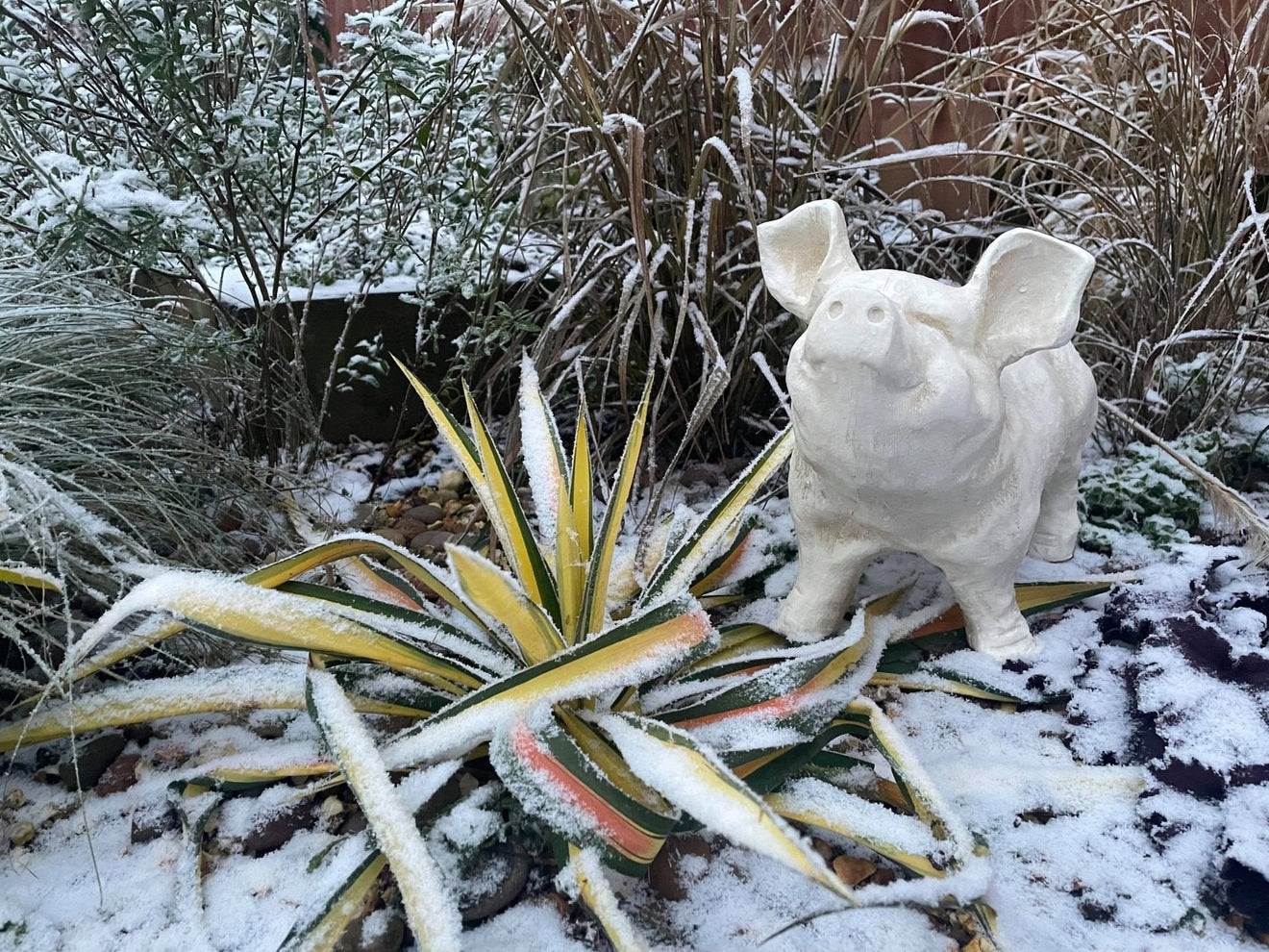 Happy Pig - White - Backyard Bliss