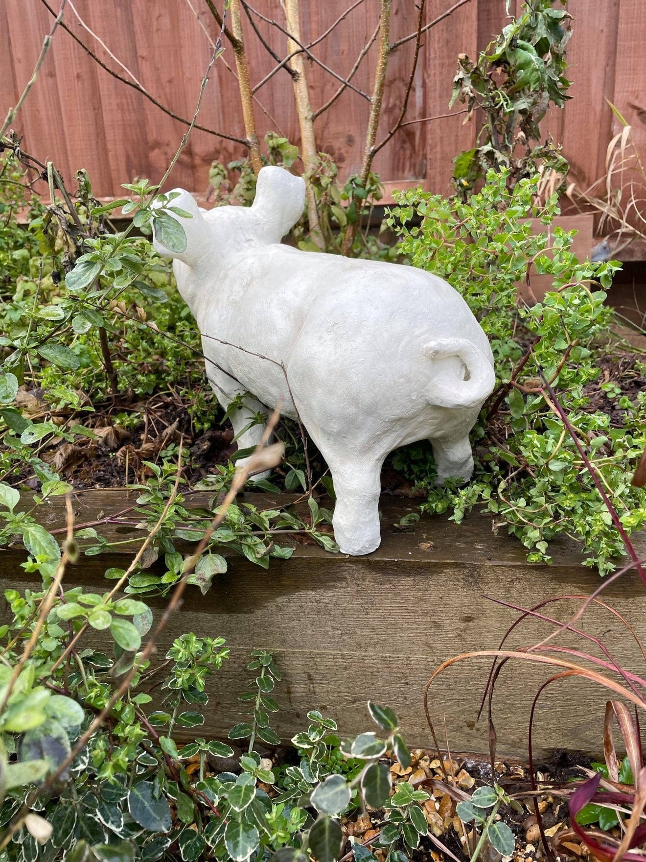 Happy Pig - White - Backyard Bliss
